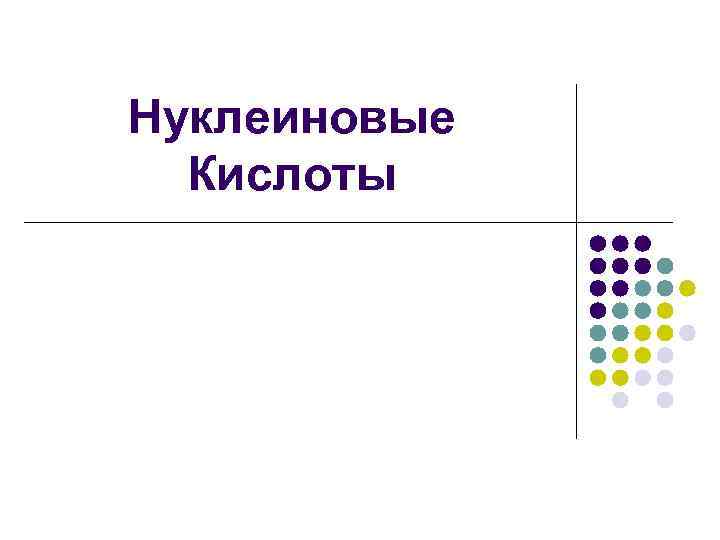 Нуклеиновые Кислоты 