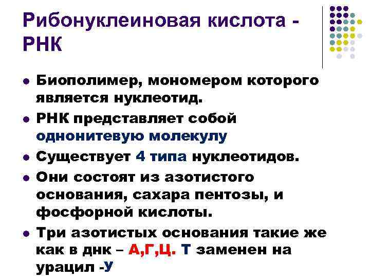 Рибонуклеиновая кислота РНК l l l Биополимер, мономером которого является нуклеотид. РНК представляет собой