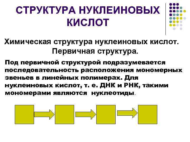 СТРУКТУРА НУКЛЕИНОВЫХ КИСЛОТ Химическая структура нуклеиновых кислот. Первичная структура. Под первичной структурой подразумевается последовательность