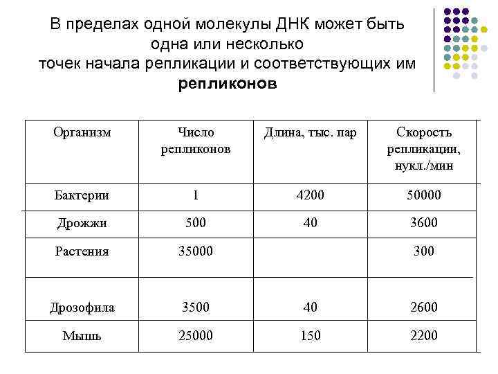 В пределах одной молекулы ДНК может быть одна или несколько точек начала репликации и