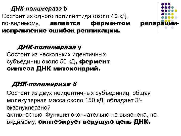 ДНК-полимераза ƅ Состоит из одного полипептида около 40 к. Д, по видимому, является ферментом