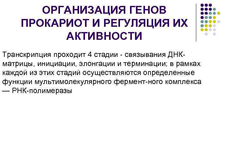 ОРГАНИЗАЦИЯ ГЕНОВ ПРОКАРИОТ И РЕГУЛЯЦИЯ ИХ АКТИВНОСТИ Транскрипция проходит 4 стадии связывания ДНК матрицы,