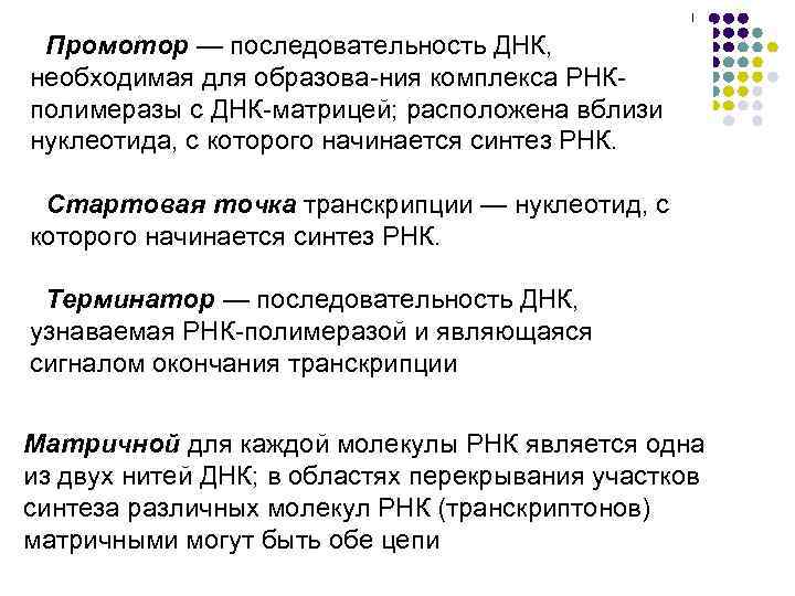 Промотор — последовательность ДНК, необходимая для образова ния комплекса РНК полимеразы с ДНК матрицей;