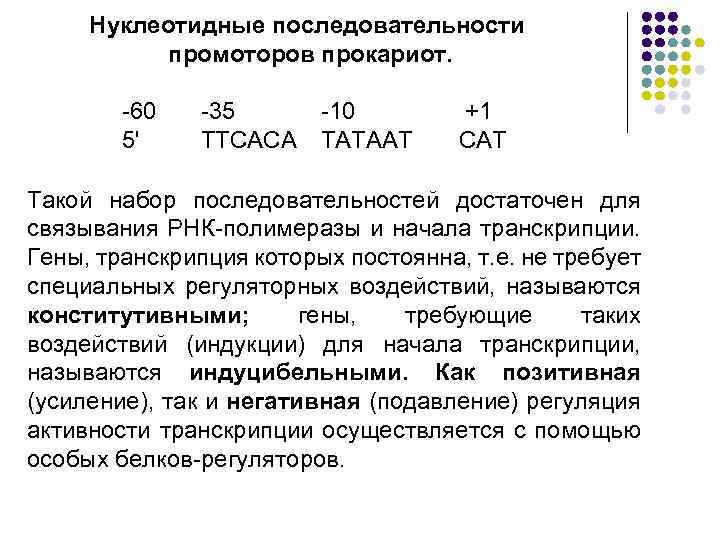 Нуклеотидные последовательности промоторов прокариот. 60 5' 35 ТТСАСА 10 ТАТААТ +1 САТ Такой набор