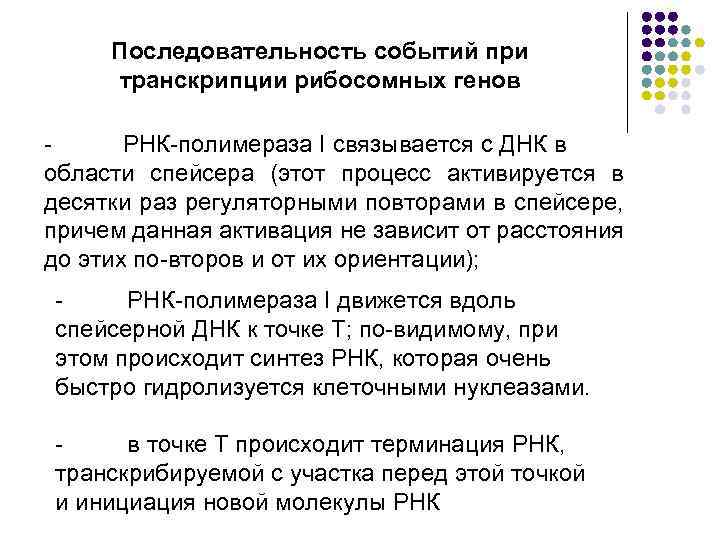 Последовательность событий при транскрипции рибосомных генов РНК полимераза I связывается с ДНК в области