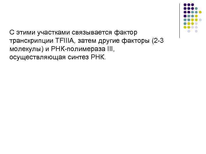 С этими участками связывается фактор транскрипции TFIIIA, затем другие факторы (2 3 молекулы) и