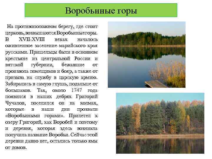 Воробьиные горы На противоположном берегу, где стоит церковь, возвышаются Воробьиные горы. В XVII-XVIII веках