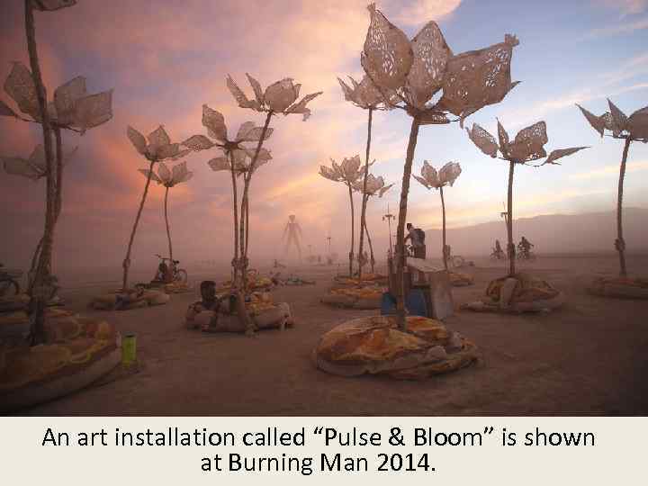 An art installation called “Pulse & Bloom” is shown at Burning Man 2014. 