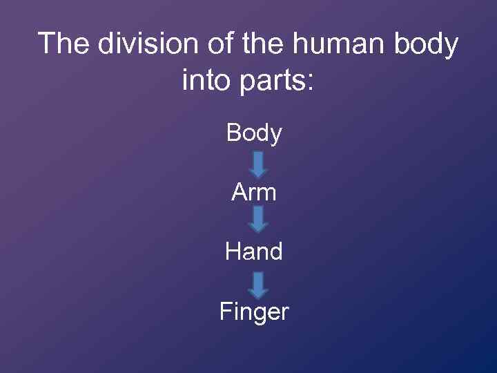 The division of the human body into parts: Body Arm Hand Finger 