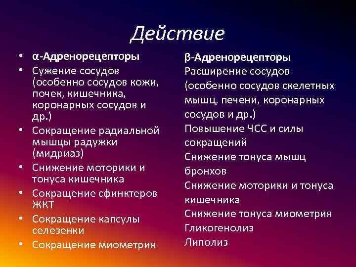 Действие • α-Адренорецепторы • Сужение сосудов (особенно сосудов кожи, почек, кишечника, коронарных сосудов и