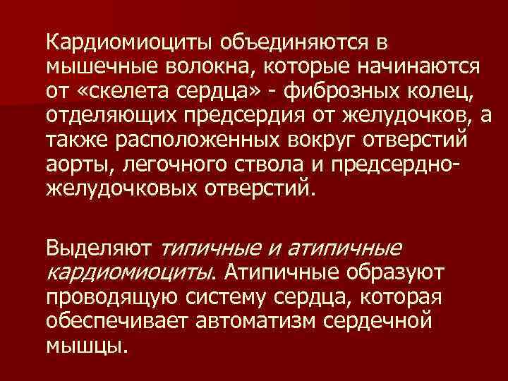 Кардиомиоциты объединяются в мышечные волокна, которые начинаются от «скелета сердца» - фиброзных колец, отделяющих