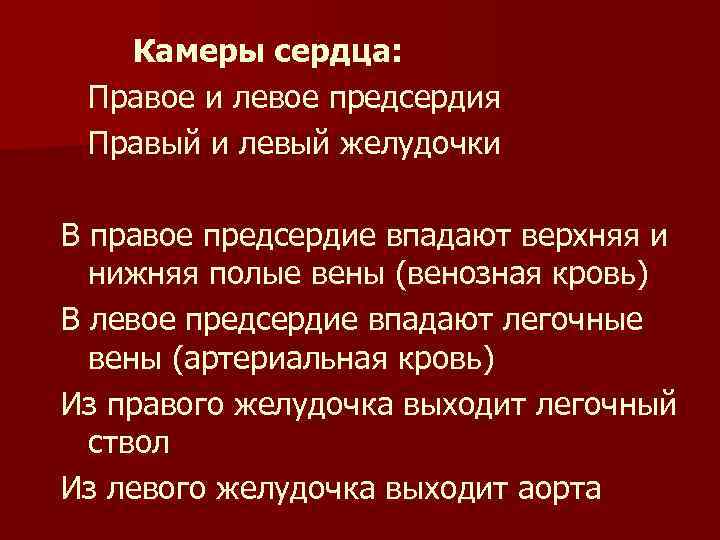 Камеры сердца: Правое и левое предсердия Правый и левый желудочки В правое предсердие впадают