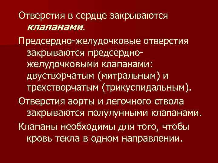 Отверстия в сердце закрываются клапанами. Предсердно-желудочковые отверстия закрываются предсердножелудочковыми клапанами: двустворчатым (митральным) и трехстворчатым