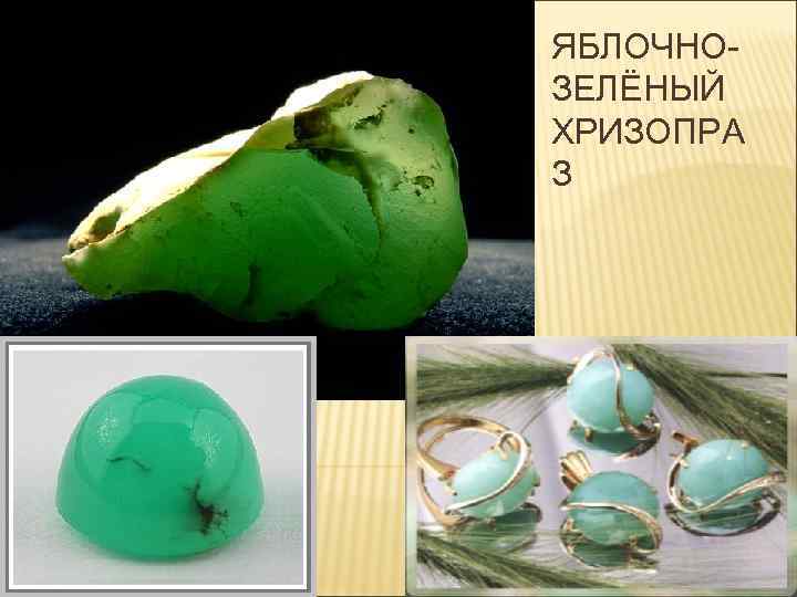 ЯБЛОЧНОЗЕЛЁНЫЙ ХРИЗОПРА З 