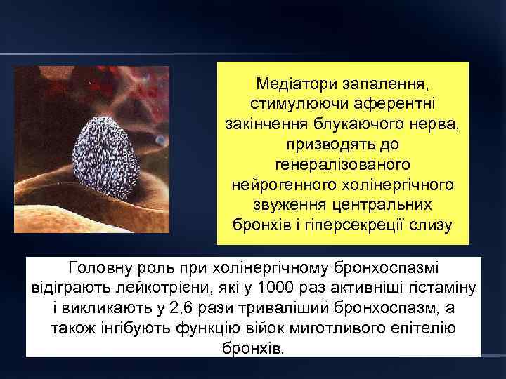 Медіатори запалення, стимулюючи аферентні закінчення блукаючого нерва, призводять до генералізованого нейрогенного холінергічного звуження центральних