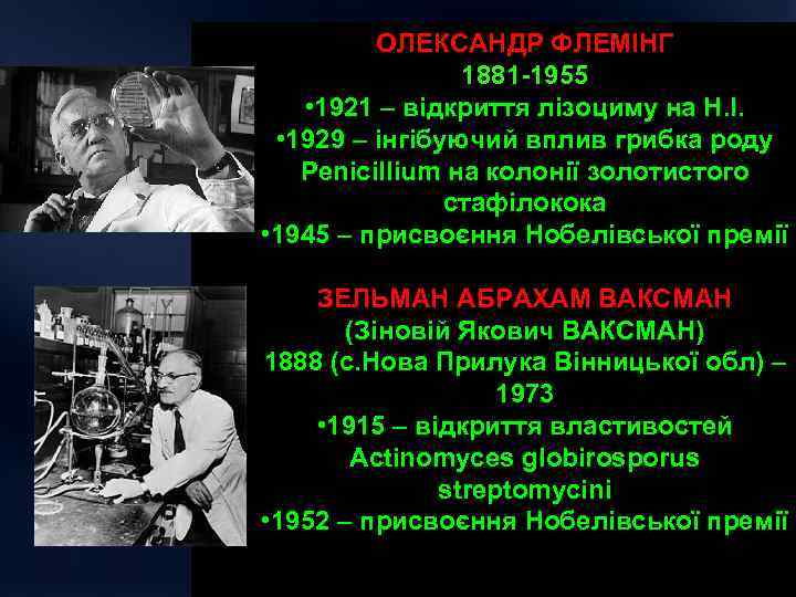 ОЛЕКСАНДР ФЛЕМІНГ 1881 1955 • 1921 – відкриття лізоциму на Н. І. • 1929