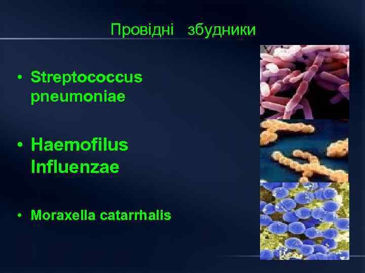 Провідні збудники • Streptococcus pneumoniae • Haemofilus Influenzae • Moraxella catarrhalis 