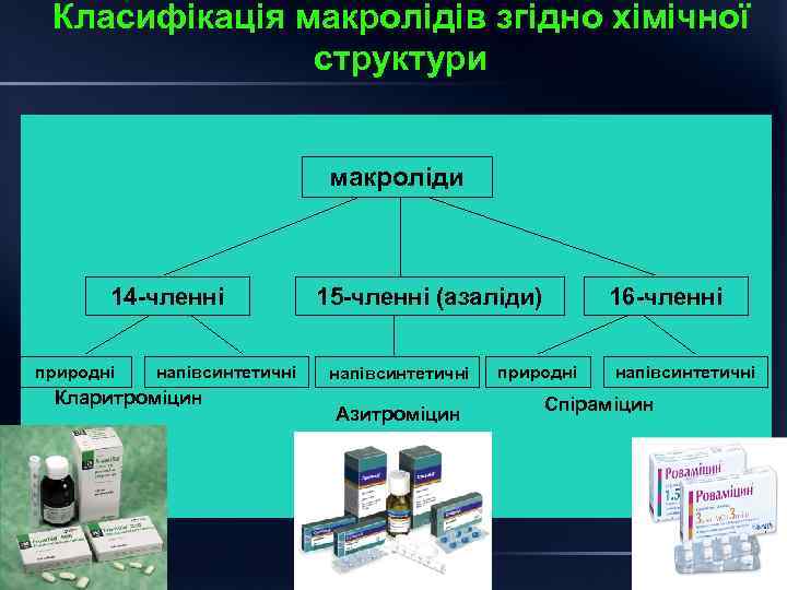 Класифікація макролідів згідно хімічної структури макроліди 14 членні природні напівсинтетичні Кларитроміцин 15 членні (азаліди)