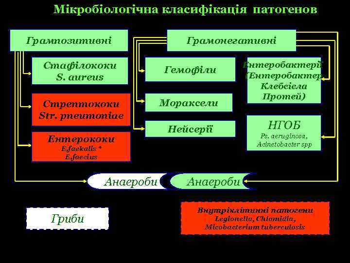 Мікробіологічна класифікація патогенов Микробиологическая классификация Грампозитивні Грамонегативні патогенов Стафілококи S. aureus Гемофіли Стрептококи Str.