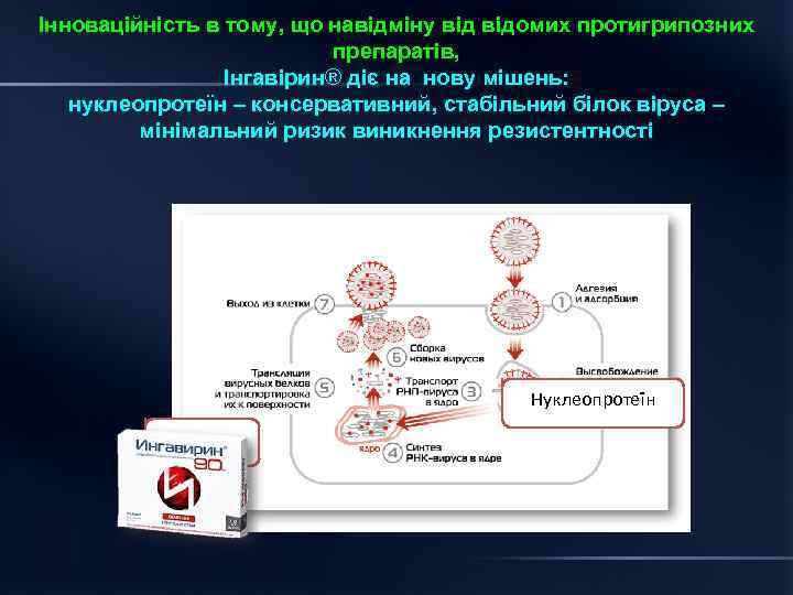 Інноваційність в тому, що навідміну відомих протигрипозних препаратів, Інгавірин® діє на нову мішень: нуклеопротеїн