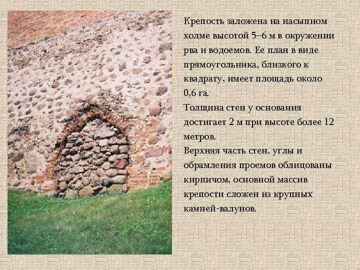 Крепость заложена на насыпном холме высотой 5– 6 м в окружении рва и водоемов.