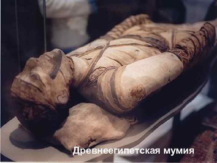Древнеегипетская мумия 