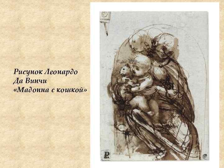 Рисунок Леонардо Да Винчи «Мадонна с кошкой» 