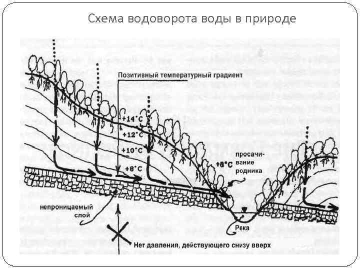 Схема водоворота воды в природе 