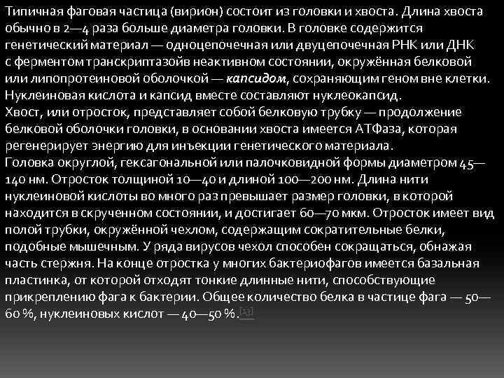 Типичная фаговая частица (вирион) состоит из головки и хвоста. Длина хвоста обычно в 2—