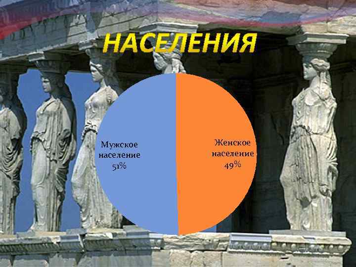  Мужское население 51% Женское население 49% 