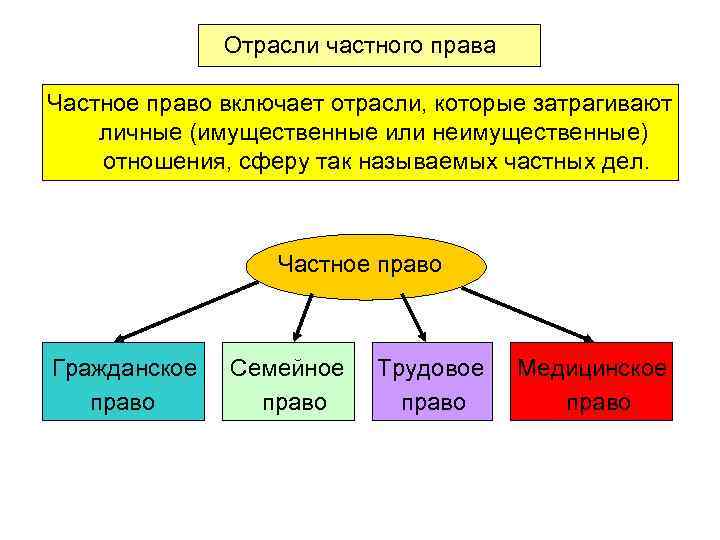 Отрасли частного права Частное право включает отрасли, которые затрагивают личные (имущественные или неимущественные) отношения,
