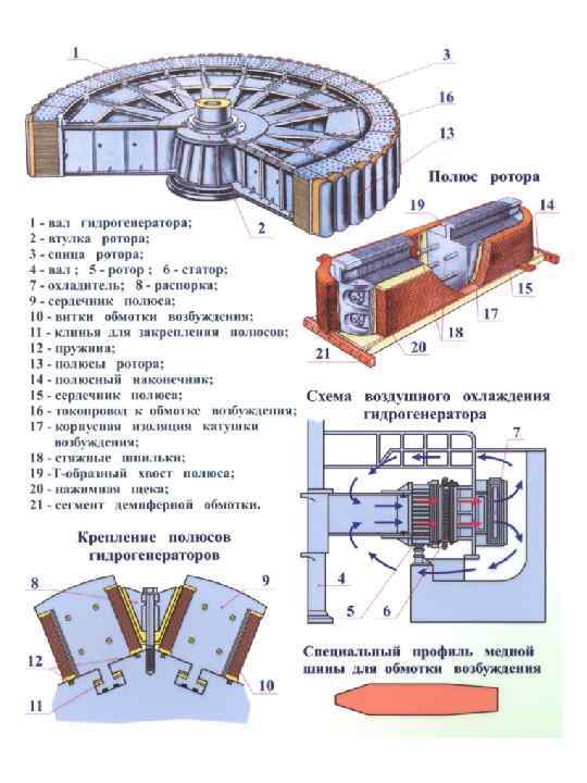 Полюса обмотки ротора синхронной машины на рисунке