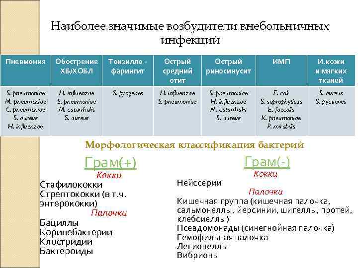 Наиболее значимые возбудители внебольничных инфекций Пневмония Обострение ХБ/ХОБЛ Тонзилло фарингит Острый средний отит Острый