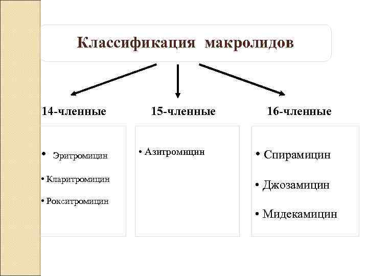 Классификация макролидов 14 -членные • Эритромицин • Кларитромицин 15 -членные • Азитромицин 16 -членные