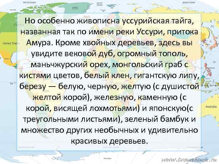 Но особенно живописна уссурийская тайга, названная так по имени реки Уссури, притока Амура. Кроме