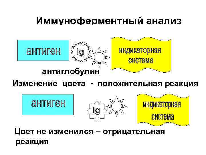 Иммуноферментный анализ антиглобулин Изменение цвета - положительная реакция Цвет не изменился – отрицательная реакция