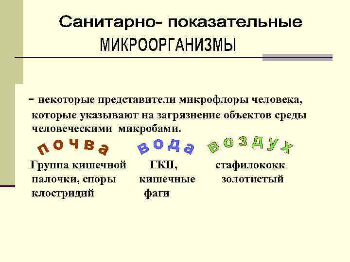 - некоторые представители микрофлоры человека, которые указывают на загрязнение объектов среды человеческими микробами. Группа