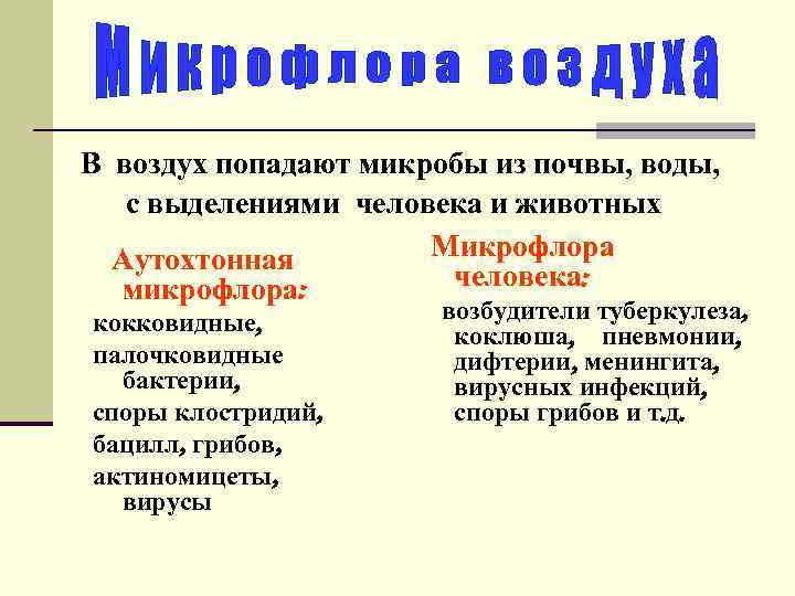 Экология микроорганизмов микробиология