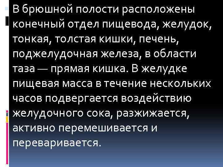  В брюшной полости расположены конечный отдел пищевода, желудок, тонкая, толстая кишки, печень, поджелудочная