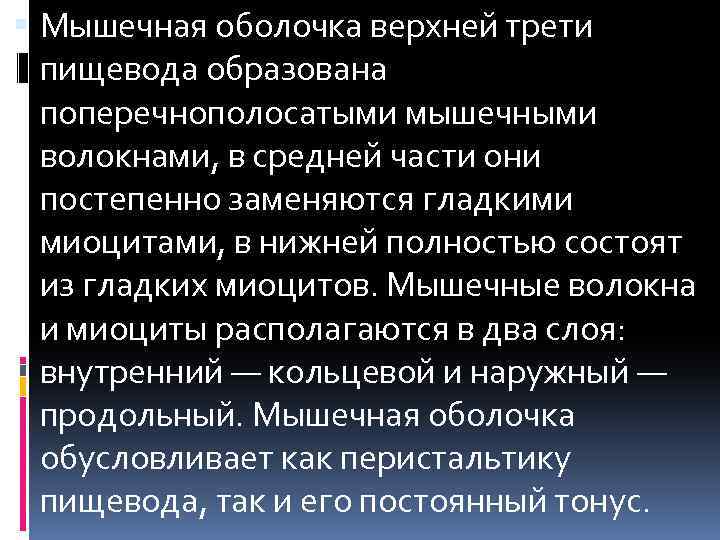  Мышечная оболочка верхней трети пищевода образована поперечнополосатыми мышечными волокнами, в средней части они