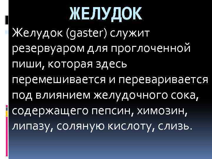 ЖЕЛУДОК Желудок (gaster) служит резервуаром для проглоченной пиши, которая здесь перемешивается и переваривается под