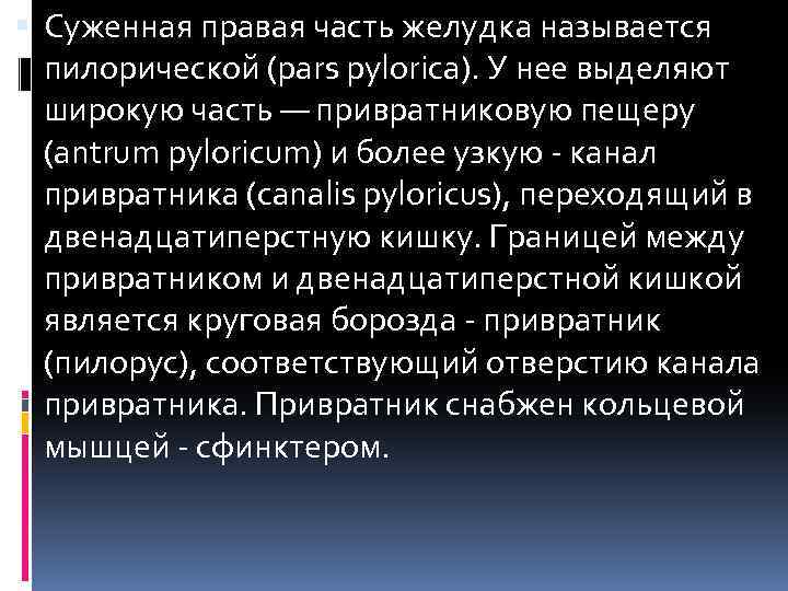  Суженная правая часть желудка называется пилорической (pars pylorica). У нее выделяют широкую часть