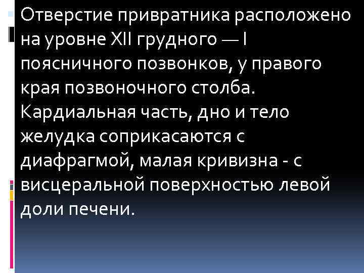  Отверстие привратника расположено на уровне XII грудного — I поясничного позвонков, у правого