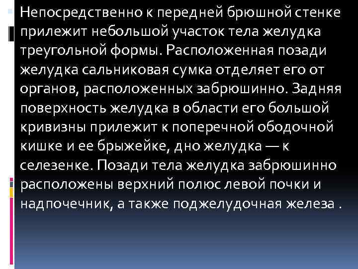  Непосредственно к передней брюшной стенке прилежит небольшой участок тела желудка треугольной формы. Расположенная