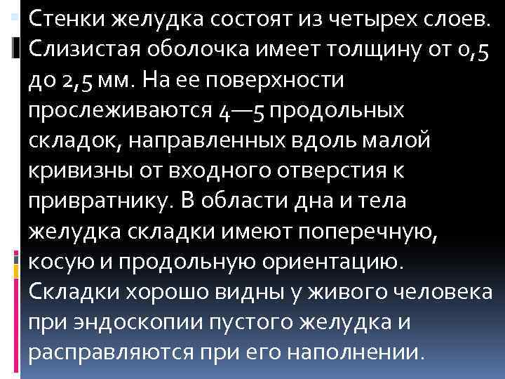  Стенки желудка состоят из четырех слоев. Слизистая оболочка имеет толщину от 0, 5