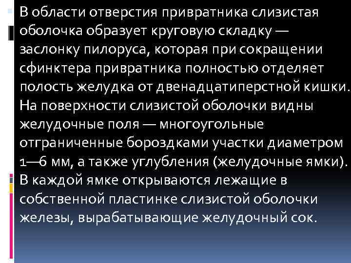  В области отверстия привратника слизистая оболочка образует круговую складку — заслонку пилоруса, которая