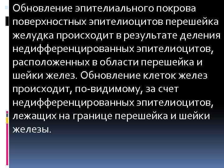  Обновление эпителиального покрова поверхностных эпителиоцитов перешейка желудка происходит в результате деления недифференцированных эпителиоцитов,