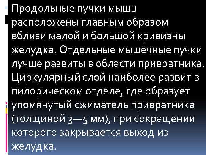  Продольные пучки мышц расположены главным образом вблизи малой и большой кривизны желудка. Отдельные