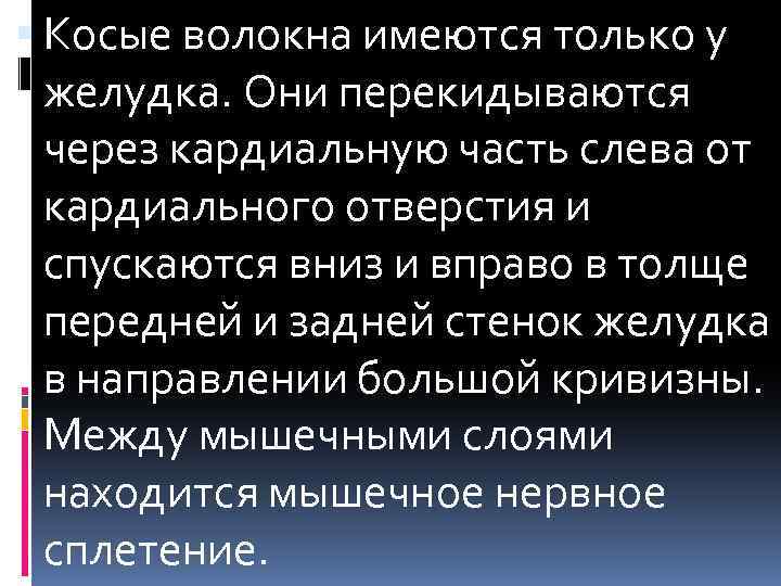  Косые волокна имеются только у желудка. Они перекидываются через кардиальную часть слева от