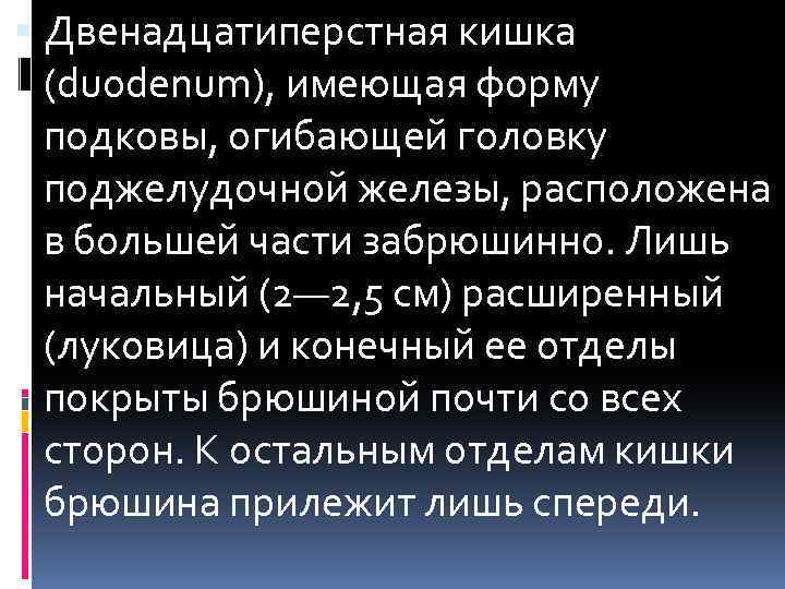  Двенадцатиперстная кишка (duodenum), имеющая форму подковы, огибающей головку поджелудочной железы, расположена в большей